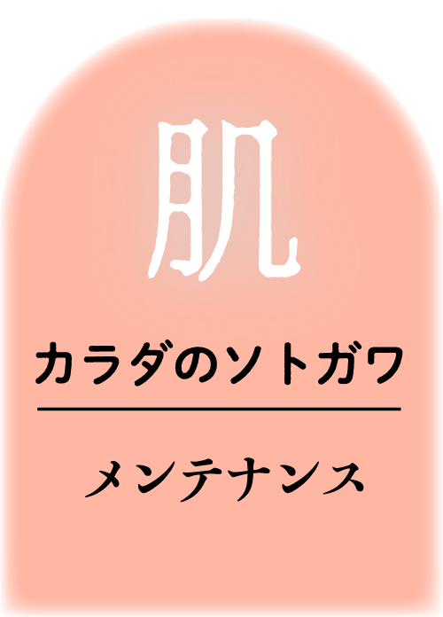 カラダのソトガワメンテナンス